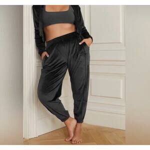 SKIMS Velour Jogger Pants Soot Loungewear Size M Soft